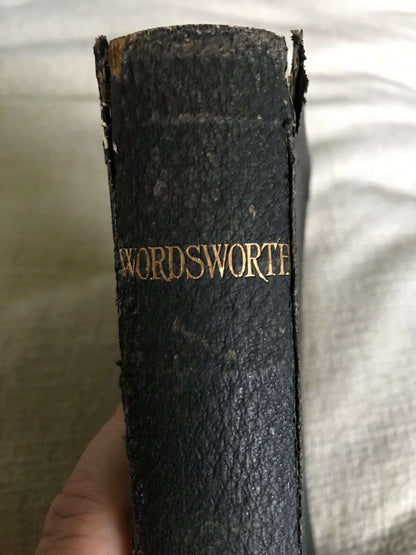 1899 The Poetical Works Of William Wordsworth - Edited By William Rossetti (Ward Honeyburn Books (UK)