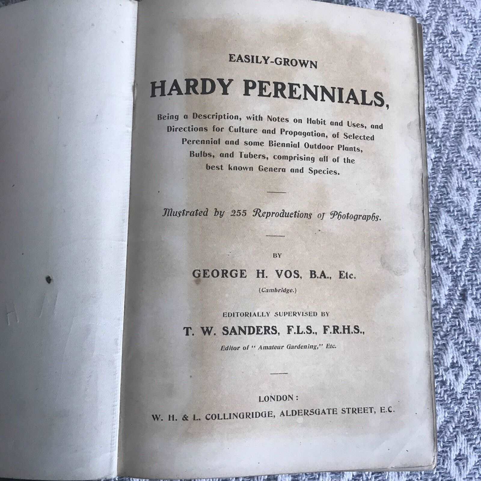 1902 Easily Grown Hardy Perennials - George Vos (Collingridge Pub) Honeyburn Books (UK)