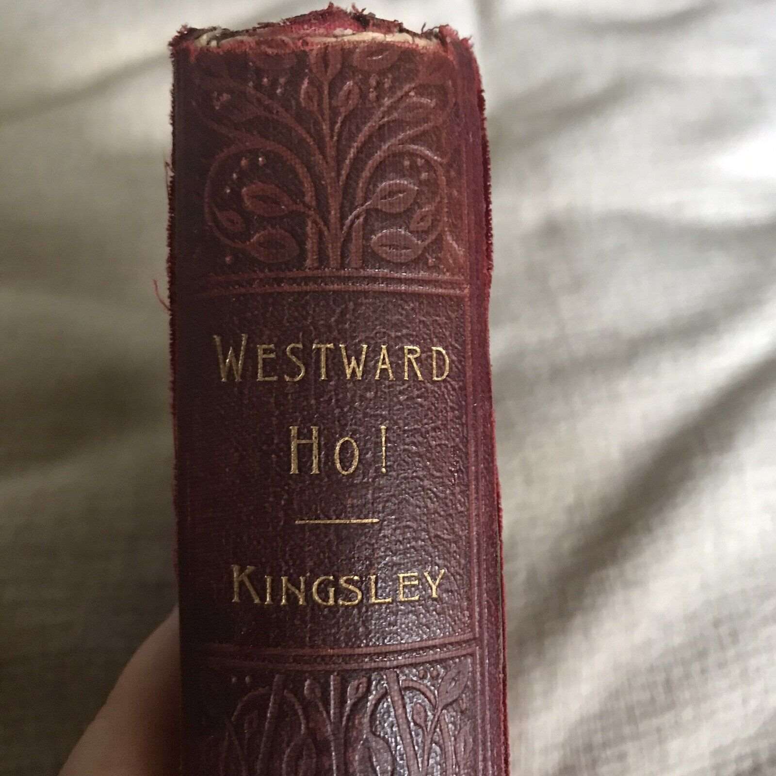 1902 Westward Ho! - Charles Kingsley (The Walter Scott Publishing) Honeyburn Books (UK)