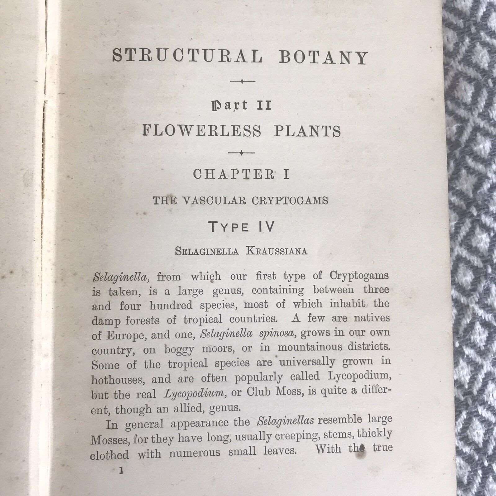 1909 & 1912 Structured Botany Flowering / Flowerless Plants - D. H. Scott (A&C ) Honeyburn Books (UK)