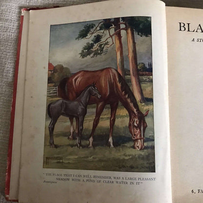 1933 Black Beauty - Anna Sewell (G. P. Micklewright) Coker & Co Ltd Honeyburn Books (UK)