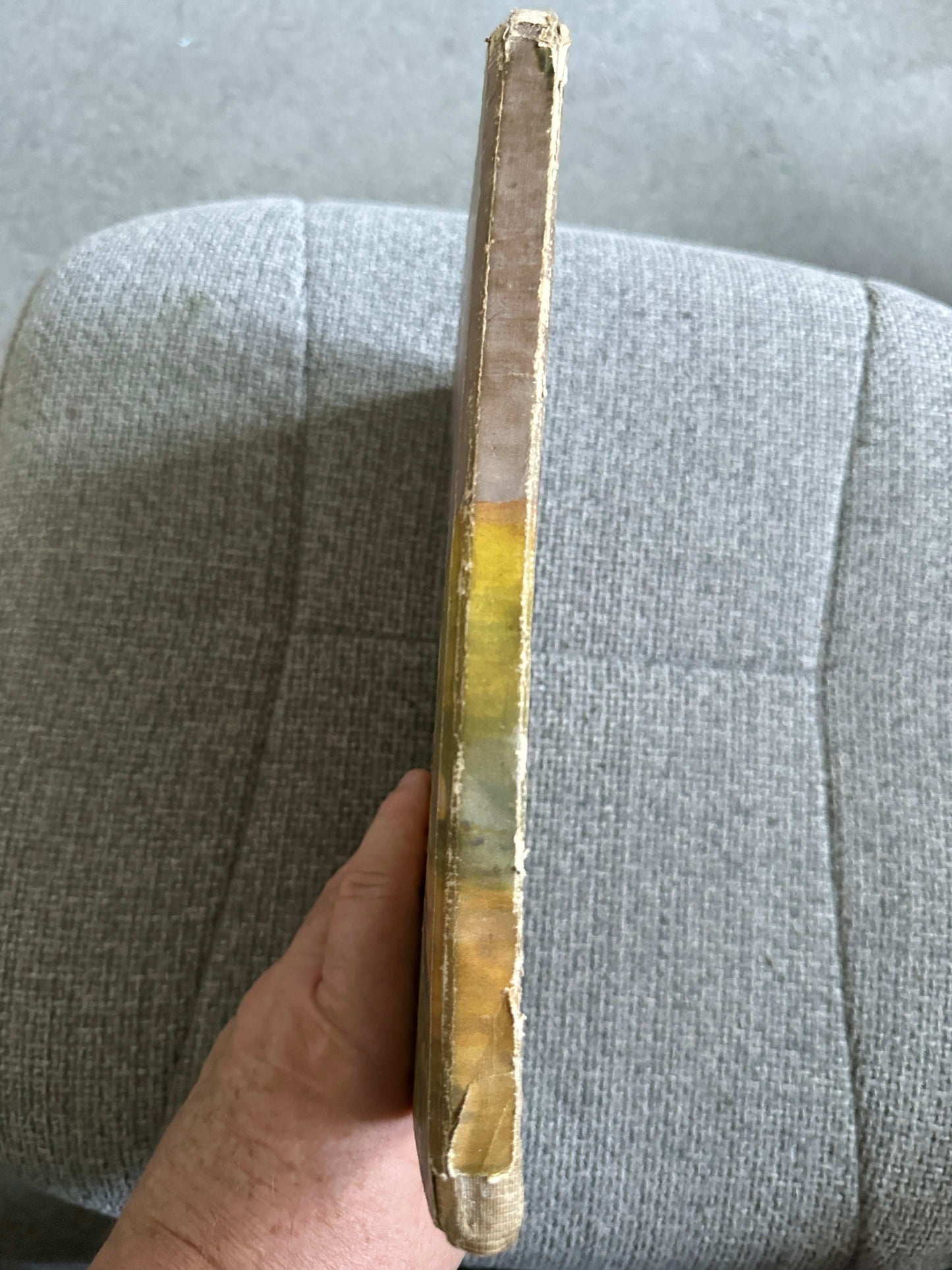 Side view of 1933 The Fairy Ring hardback book showcasing its worn spine and colorful edge.