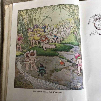 1937 May Gibbs Book - Chucklebud & Wunkydoo Their Strange Adventure by Angus & Robertson - Honeyburn Books (UK)
