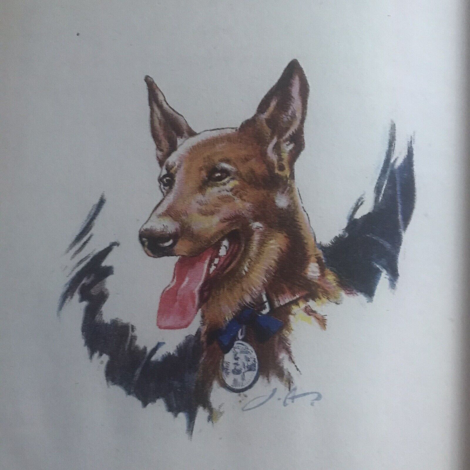 1943*1st* Flak: Canine War Hero - Shirley Goulden(J. Abbey Illustrator) WH Allen Honeyburn Books (UK)