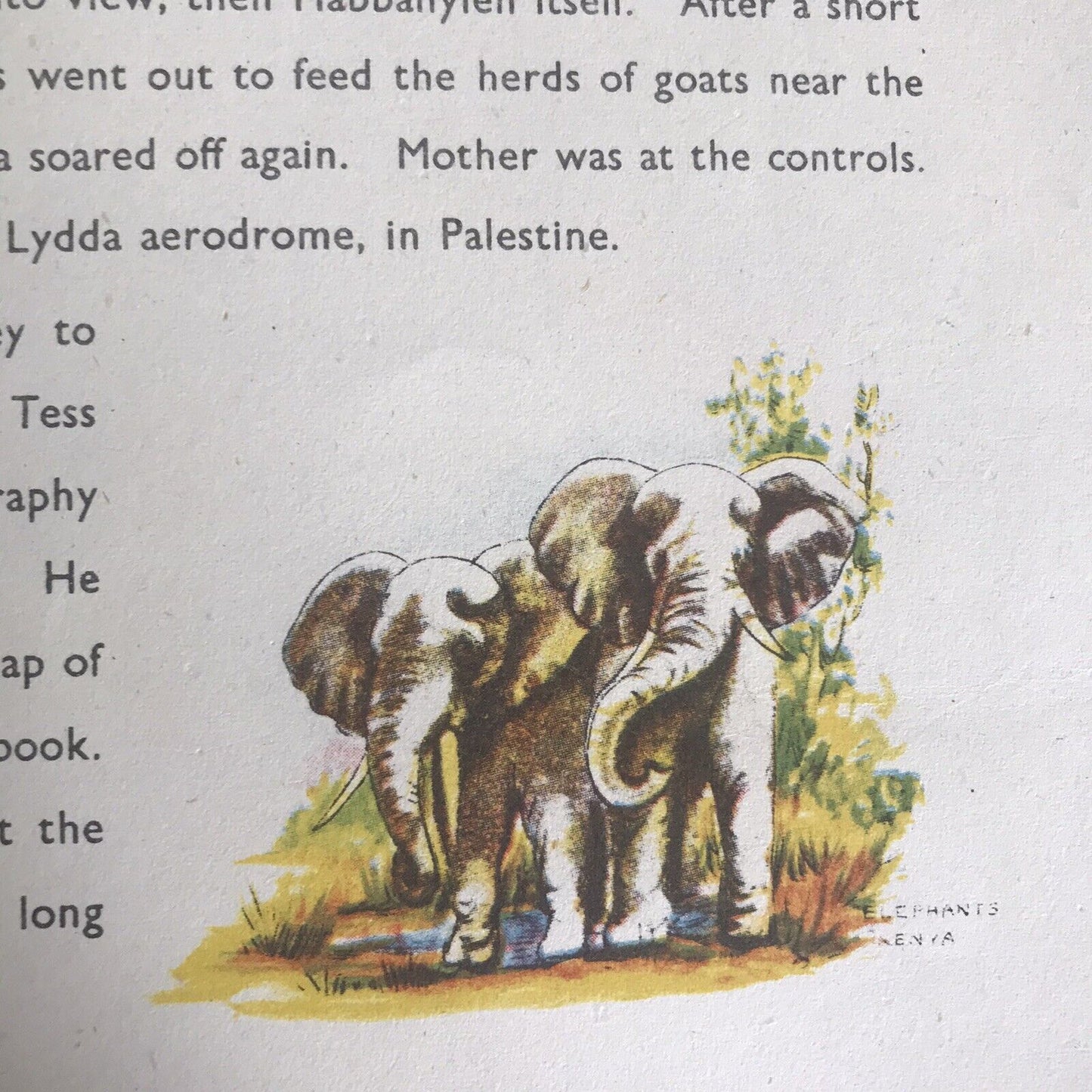 1943 Through The British Commonwealth(Irak, Palestine & East Africa) Stella Mead Honeyburn Books (UK)