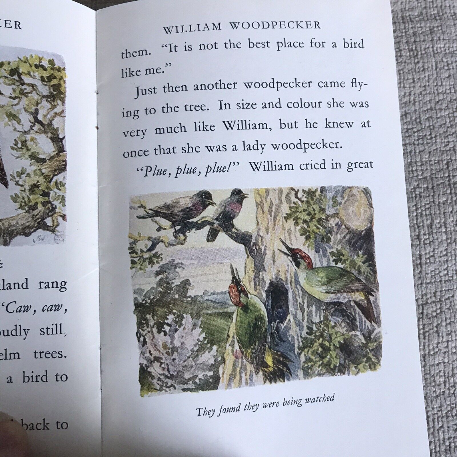 1950 Tales Of The Wild Folk: William Woodpecker - Cecily M. Rutley (Joan Wanklyn Honeyburn Books (UK)