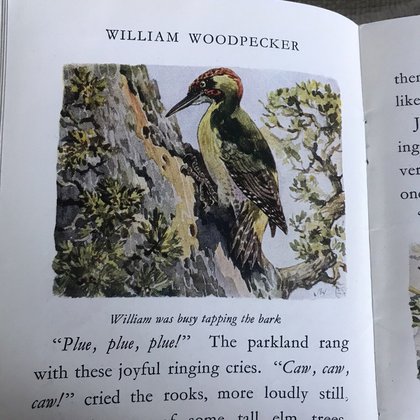 1950 Tales Of The Wild Folk: William Woodpecker - Cecily M. Rutley (Joan Wanklyn Honeyburn Books (UK)