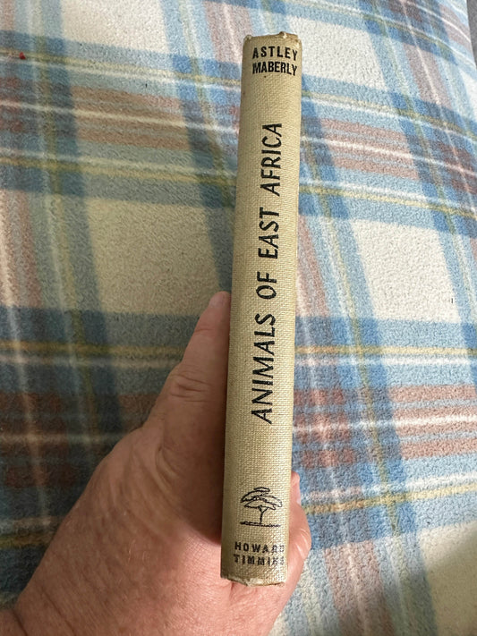1960 Animals of East Africa book by Astley Maberly in a hand on a plaid background