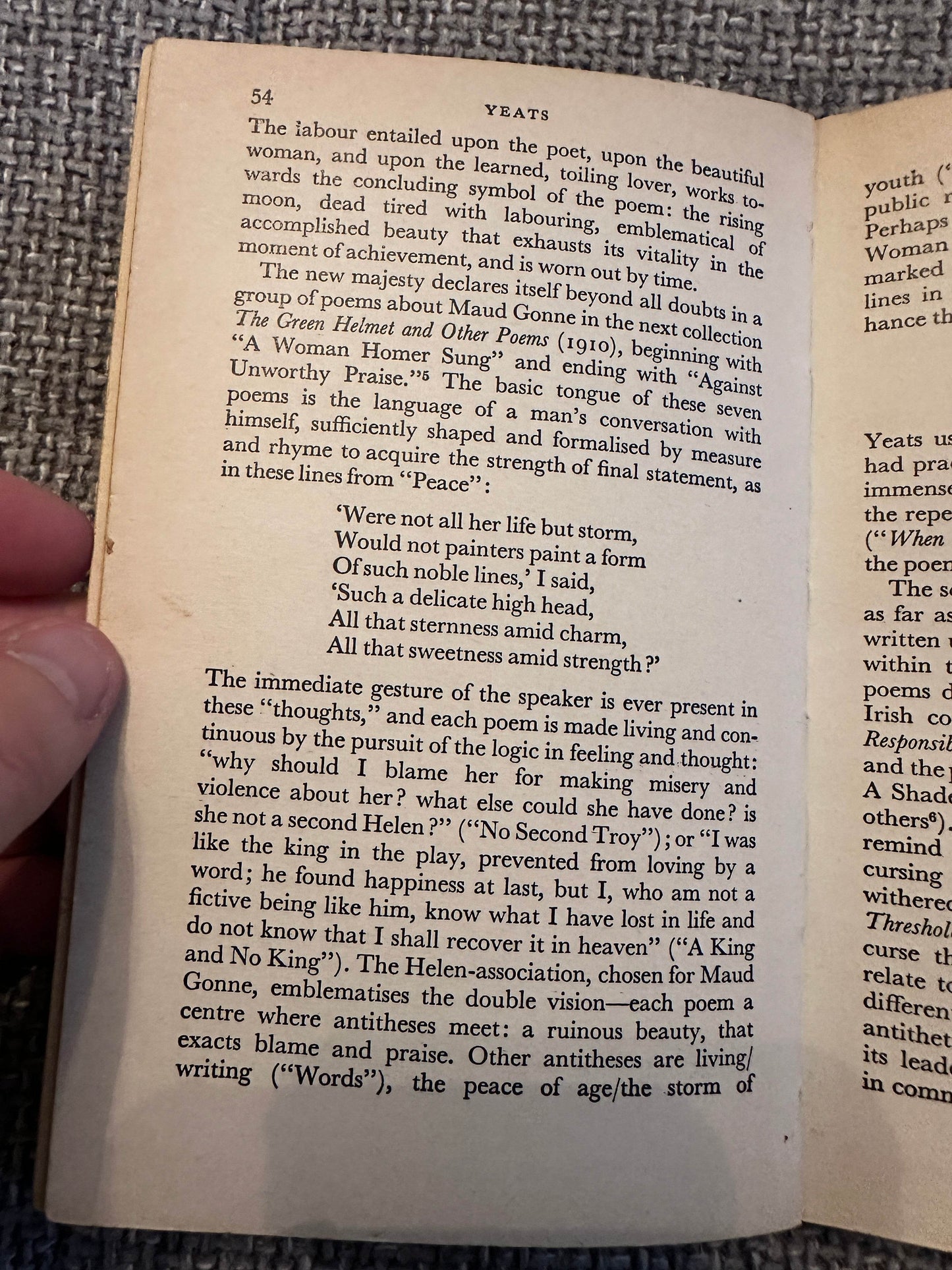 Page from the 1963 Yeats biography book discussing the poet's themes and influences