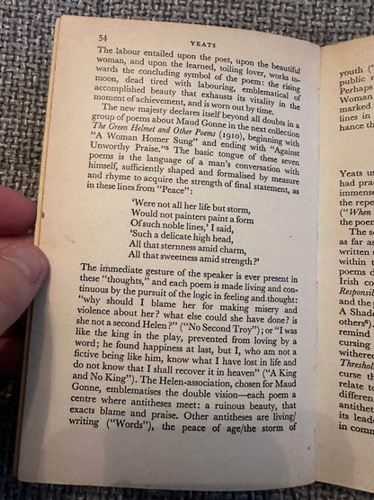 Page from the 1963 Yeats biography book discussing the poet's themes and influences