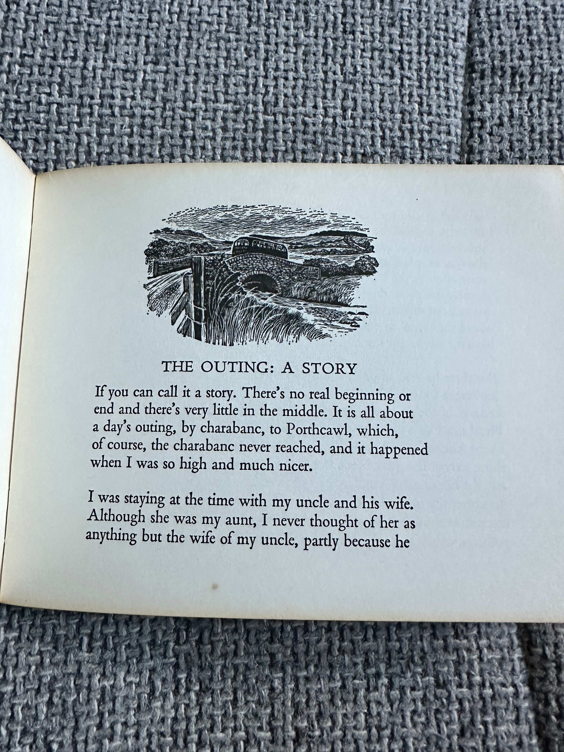 1975 The Outing Meg Stevens illustrated edition showcasing a story with intricate illustrations