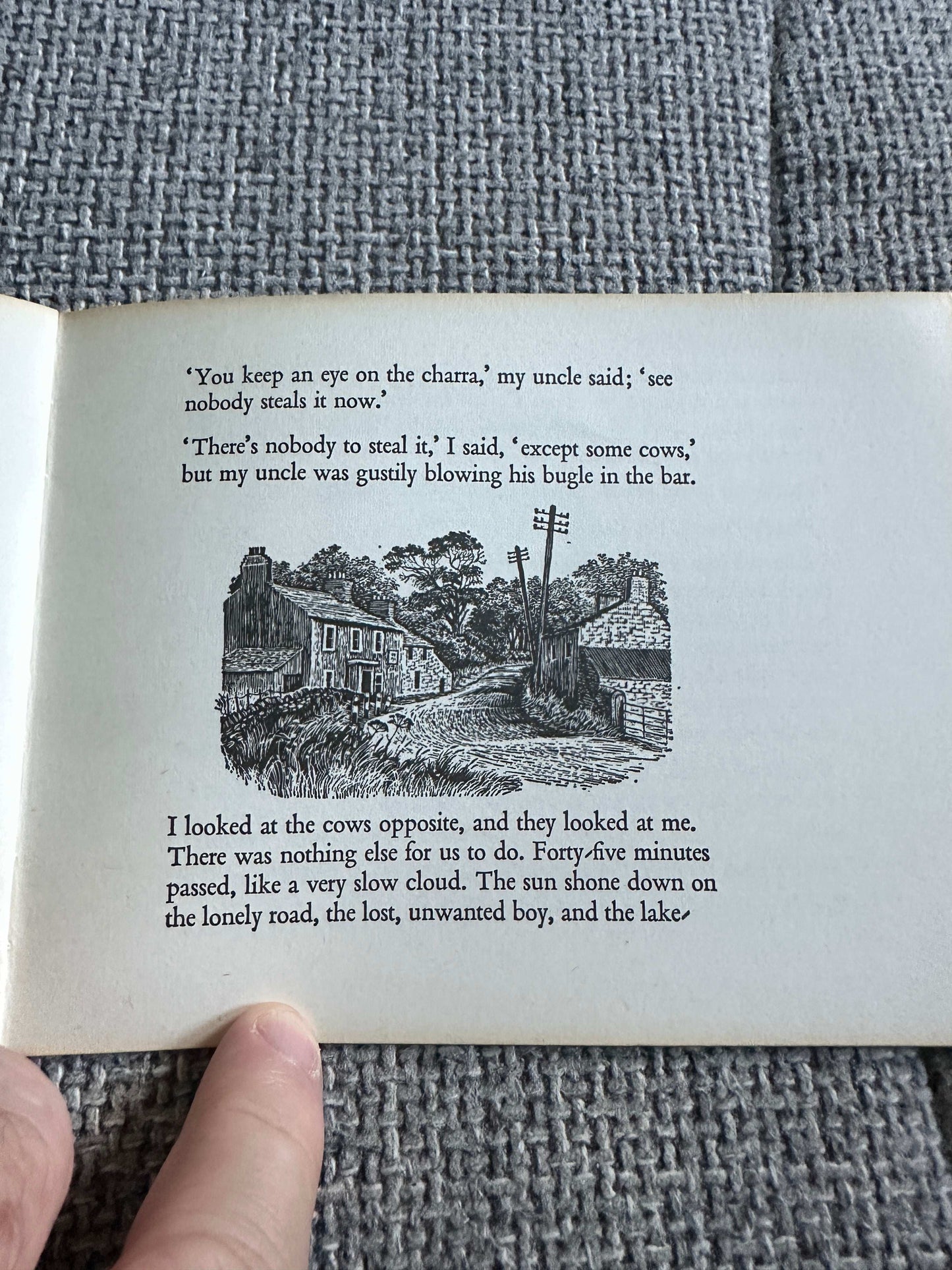 1975 The Outing Meg Stevens illustrated edition featuring a black and white drawing of rural scenery and cows
