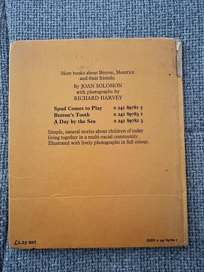 Back cover of the 1978 Hamish Hamilton collectible book featuring text and ISBN details