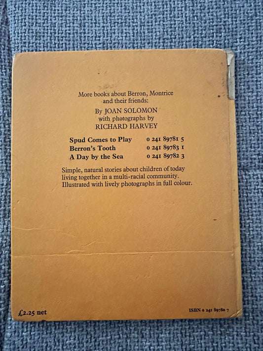 Back cover of the 1978 Hamish Hamilton collectible book featuring text and ISBN details