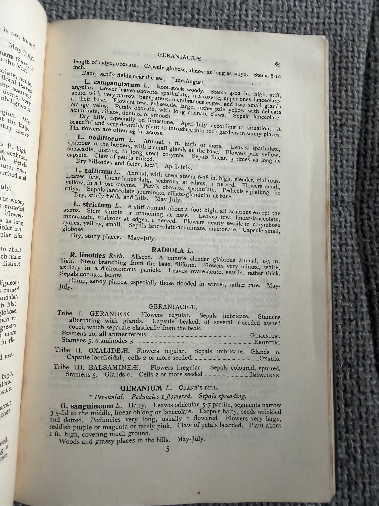 1914*1st* FLOWERING PLANTS OF THE RIVIERA. A Descriptive Account of 1800 of the More Interesting Species. By H. Stuart Thompson, F.L.S. With an Introduction on Riviera Vegetation by A. G. Tansley, (Longmans, Green &  Co. Ltd)