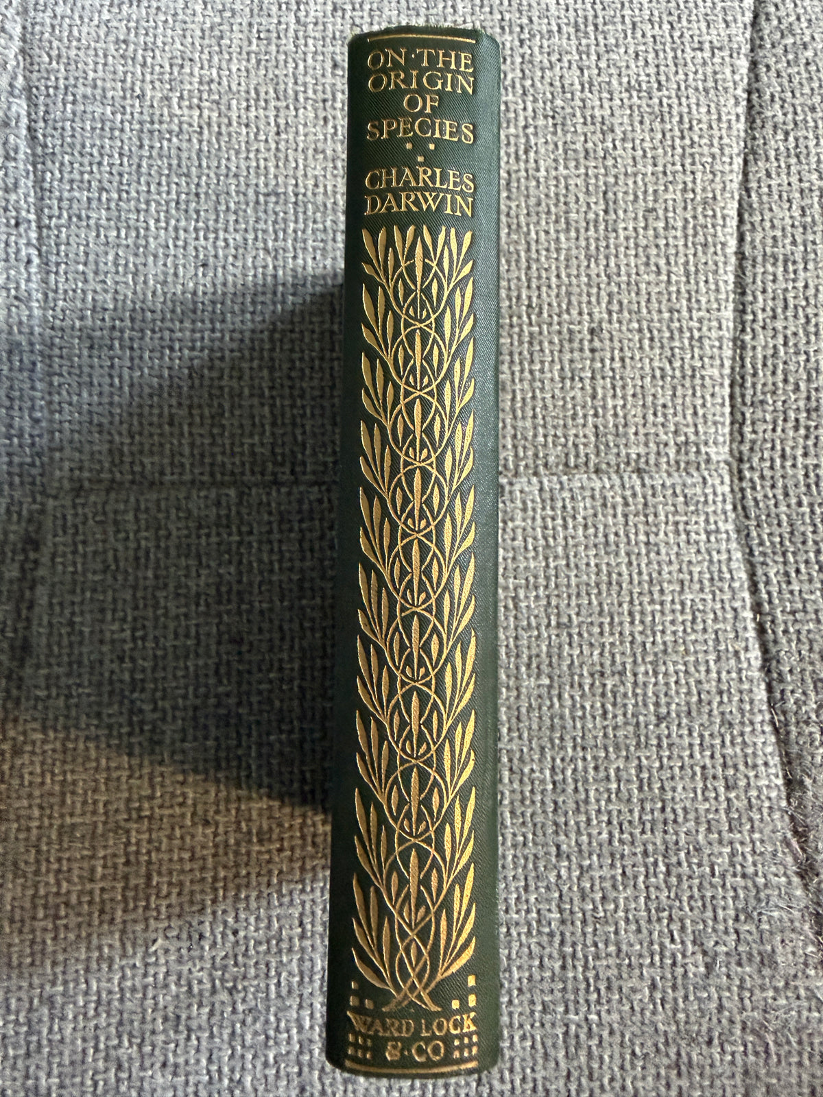 1911 On The Origin Of The Species - Charles Darwin (Ward Lock & Co Ltd) The World Library