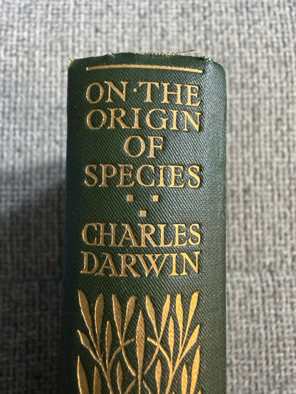 1911 On The Origin Of The Species - Charles Darwin (Ward Lock & Co Ltd) The World Library