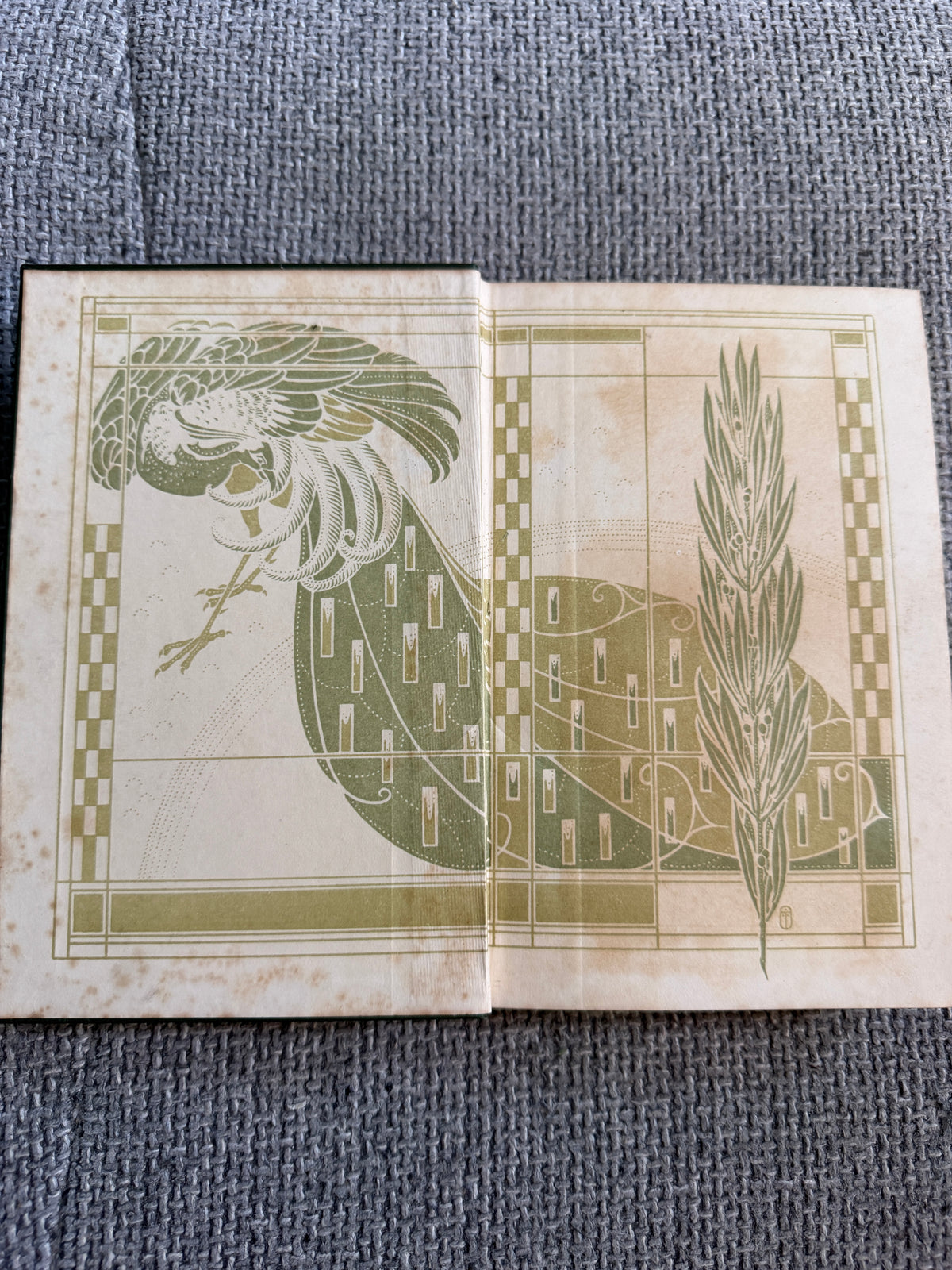 1911 On The Origin Of The Species - Charles Darwin (Ward Lock & Co Ltd) The World Library