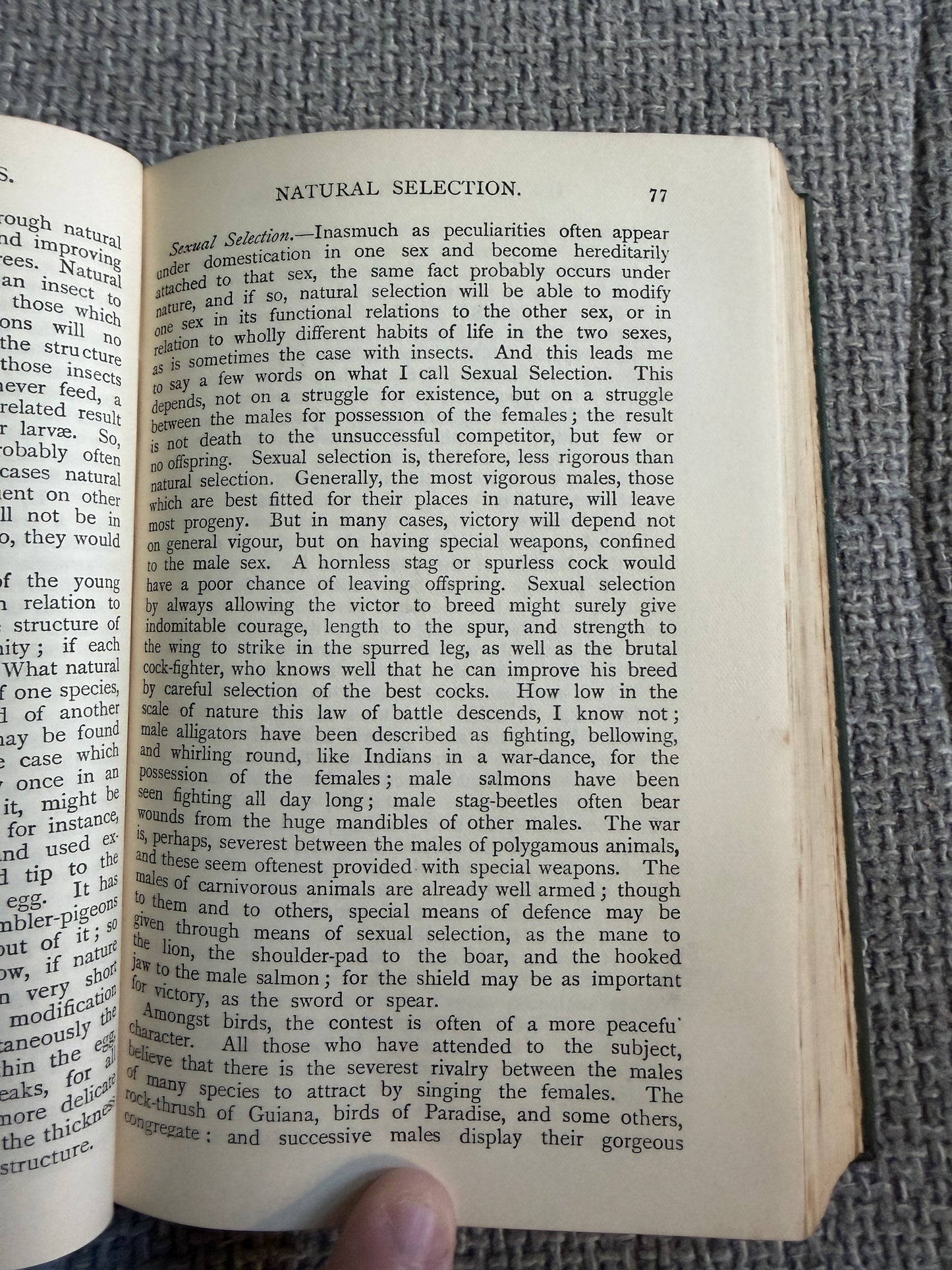1911 On The Origin Of The Species - Charles Darwin (Ward Lock & Co Ltd) The World Library