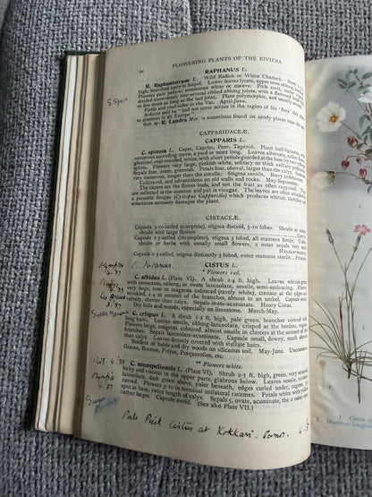 1914*1st* FLOWERING PLANTS OF THE RIVIERA. A Descriptive Account of 1800 of the More Interesting Species. By H. Stuart Thompson, F.L.S. With an Introduction on Riviera Vegetation by A. G. Tansley, (Longmans, Green &  Co. Ltd)