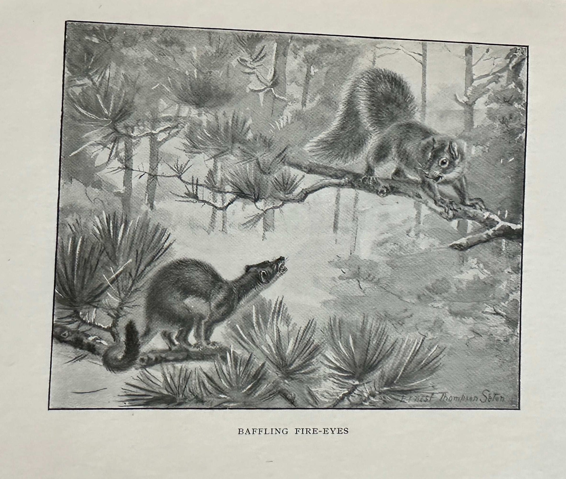 1922*1st* Bannertail The Story Of A Grey Squirrel - Ernest Thompson Seton (Hodder and Stoughton)