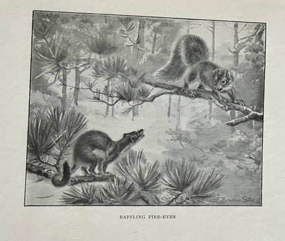 1922*1st* Bannertail The Story Of A Grey Squirrel - Ernest Thompson Seton (Hodder and Stoughton)