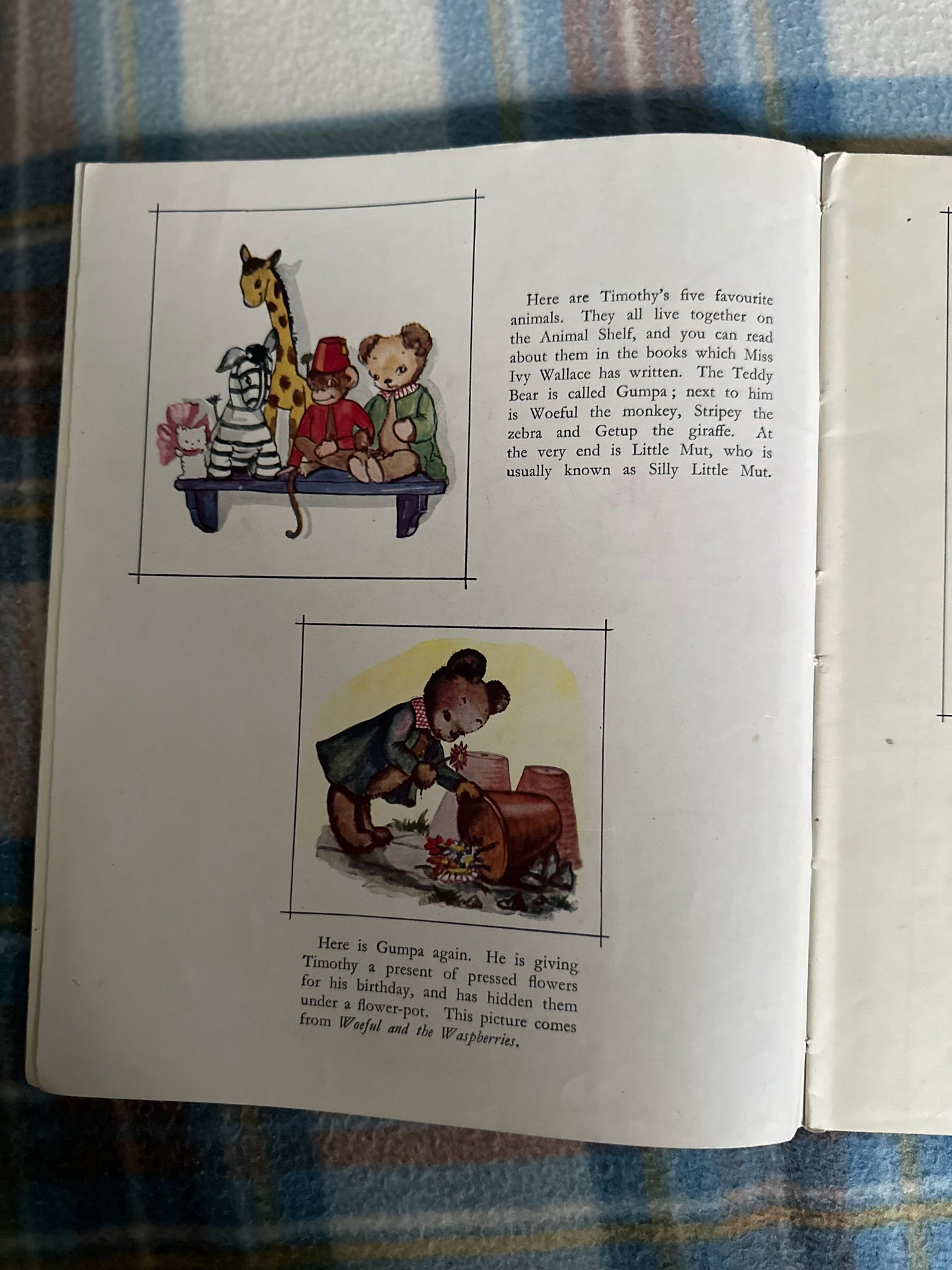 1950 The Animal Book Shelf Paint Book - Ivy L. Wallace (Collins)