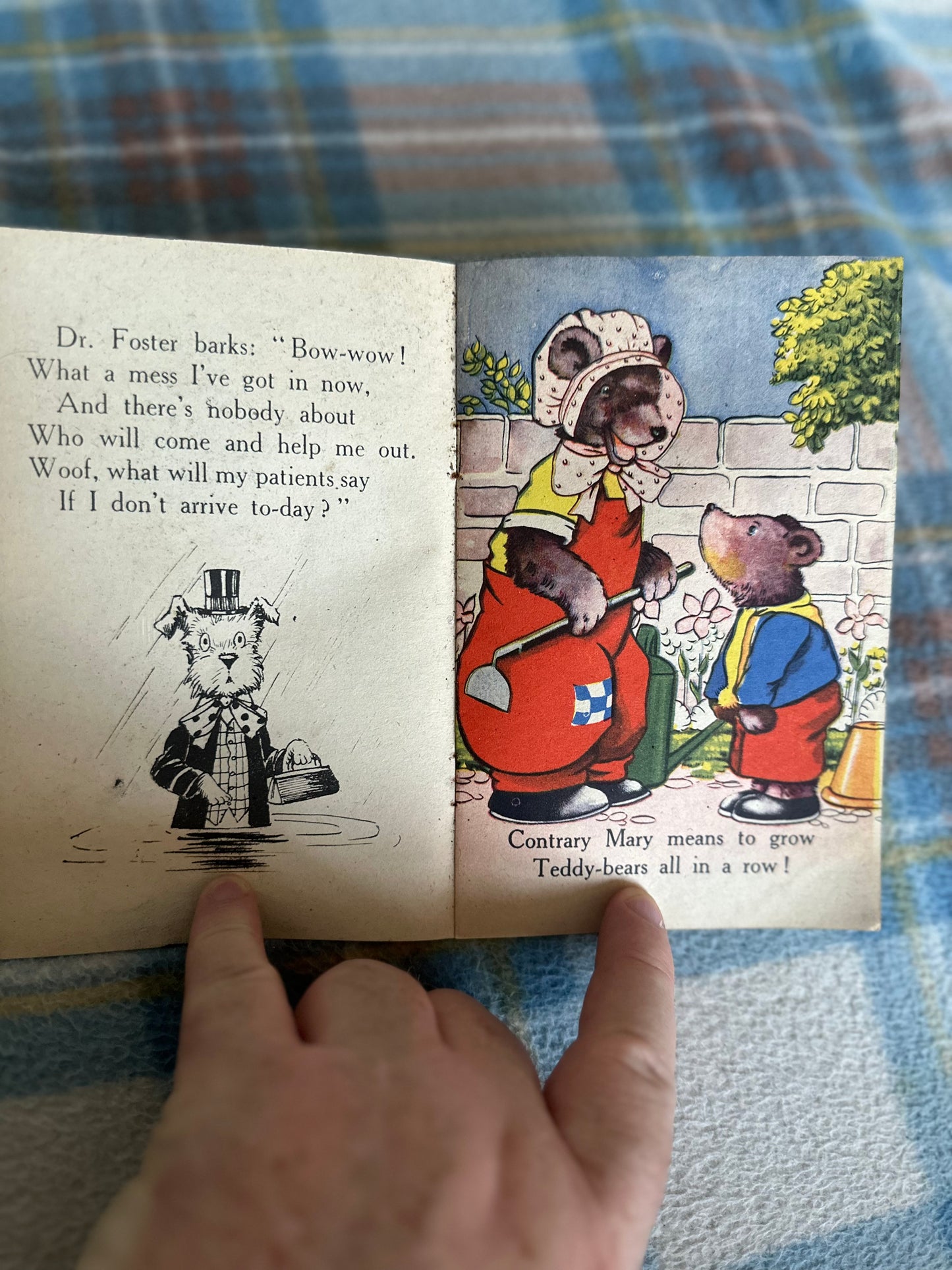 1940’s Pet’s In Nursery-Land (B. B. Ltd)