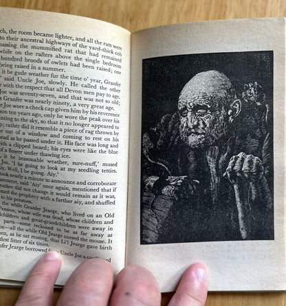 1976 The Creepy Crawly Book – Lucy Berman, veröffentlicht von Target