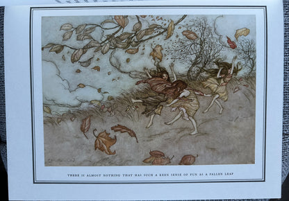 2004 Peter Pan In Kensington Gardens - J. M. Barrie(Arthur Rackham Illust)Folio Society