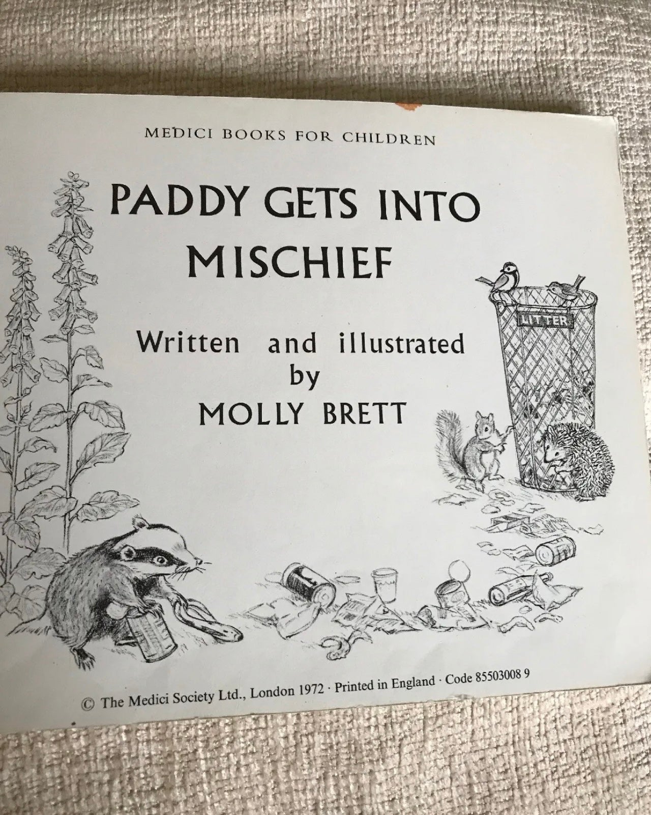 1972*1st* Paddy Gets Into Mischief - Molly Brett (Medici Society)