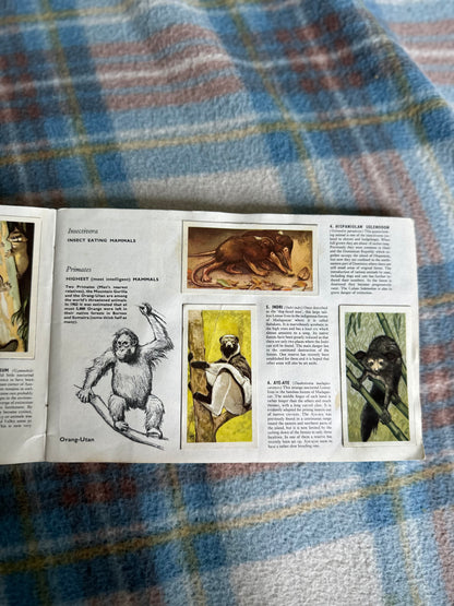 1960’s Wildlife In Danger - Peter Scott(Brooke Bond Teacards full set)