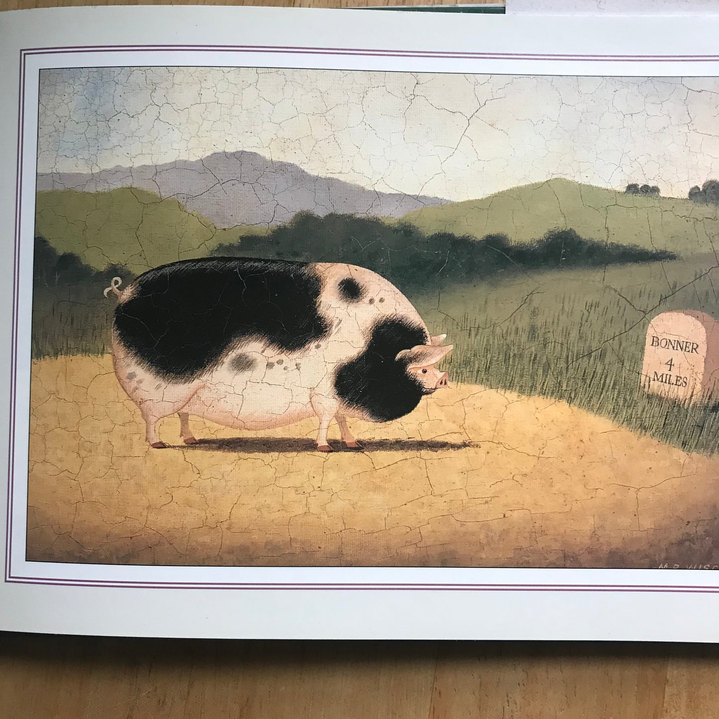 1996*1.* The Old Pig – Martin Wiscombe (Robinson's Publishers)