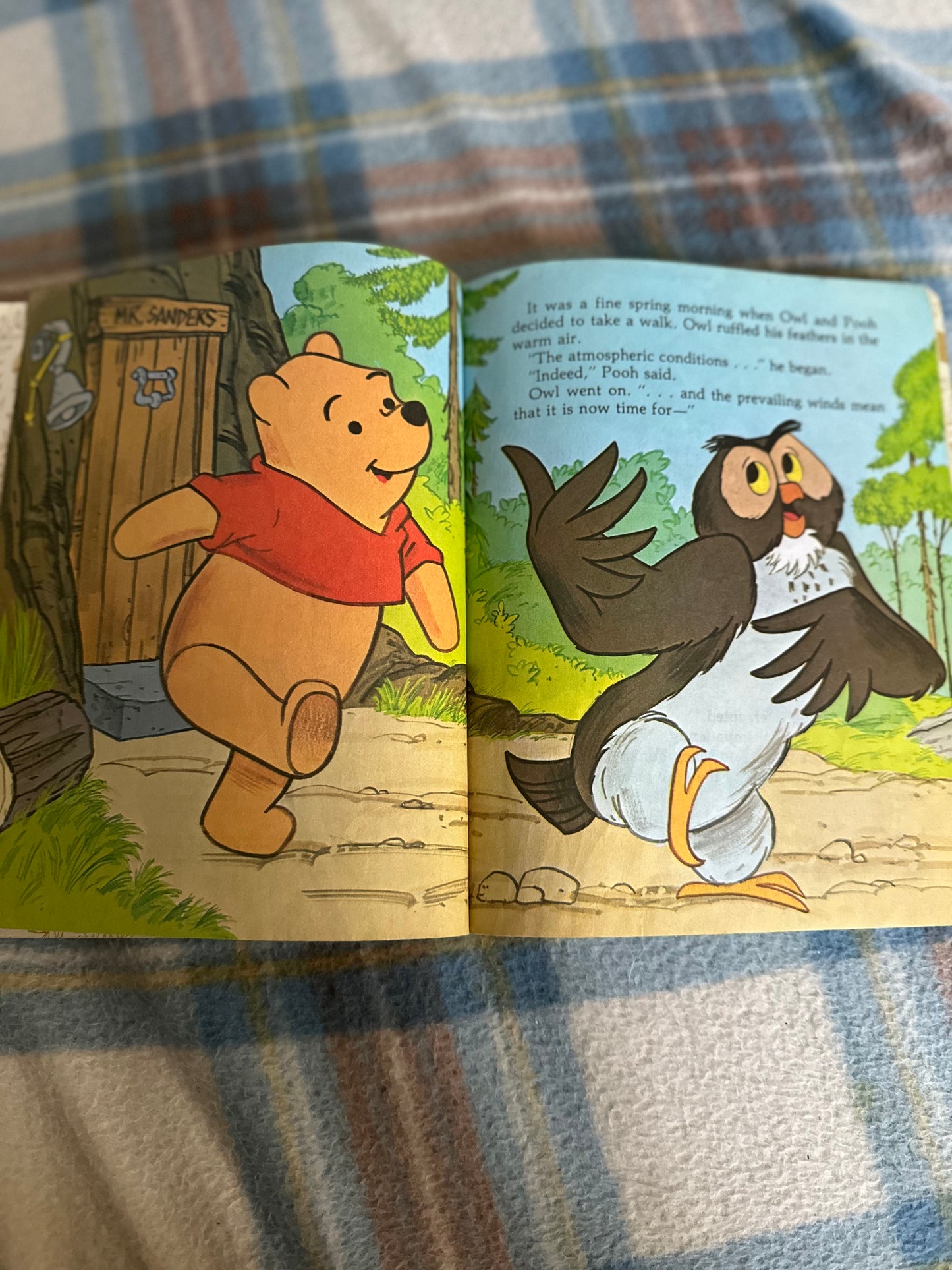 1980 Winnie The Pooh & The Honey Patch(A Golden Book)