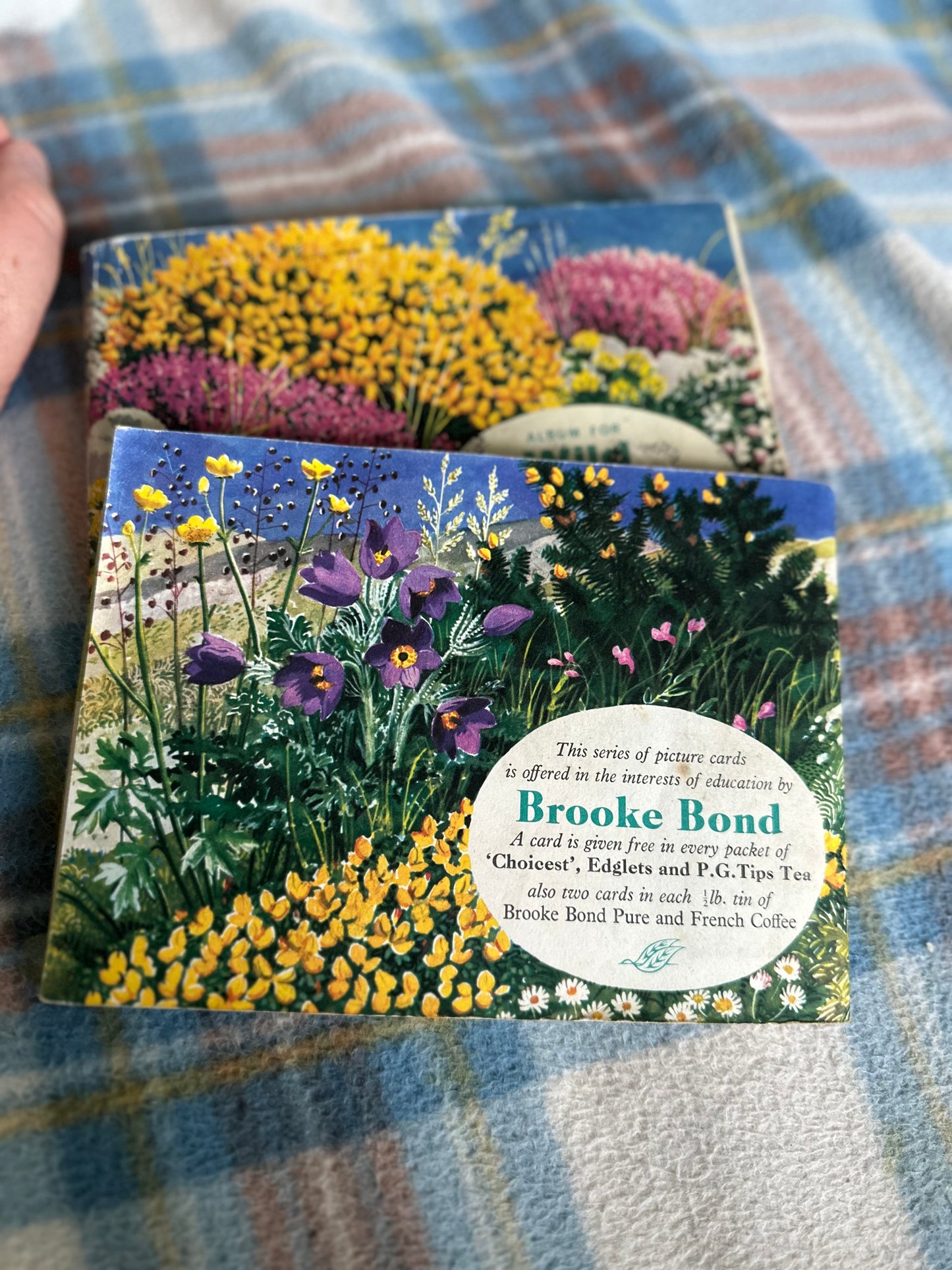 2x Wild Flowers Brook Bond Tea Cards illustration by C.F. Tunnicliffe