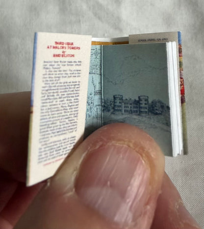 Third Year At Malory Towers miniature 1:12 scale 2x3 detachable dust jacket