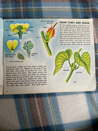 1946*1st* The Story Of Plant Life(Puffin Picture Book No58) Isabel Alexander