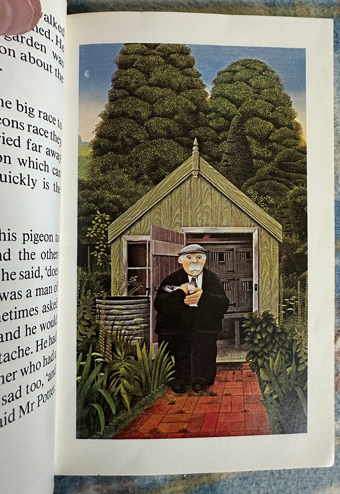 1979 Mr. Potter’s Pigeon - Patrick Kinmonth illustration Reg Cartwright(Pocket Bears) Methuen Moonlight