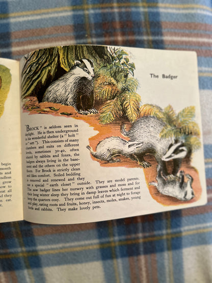 1941 Animals Of The Countryside - Arnrid Johnston(Puffin Picture Book no7)