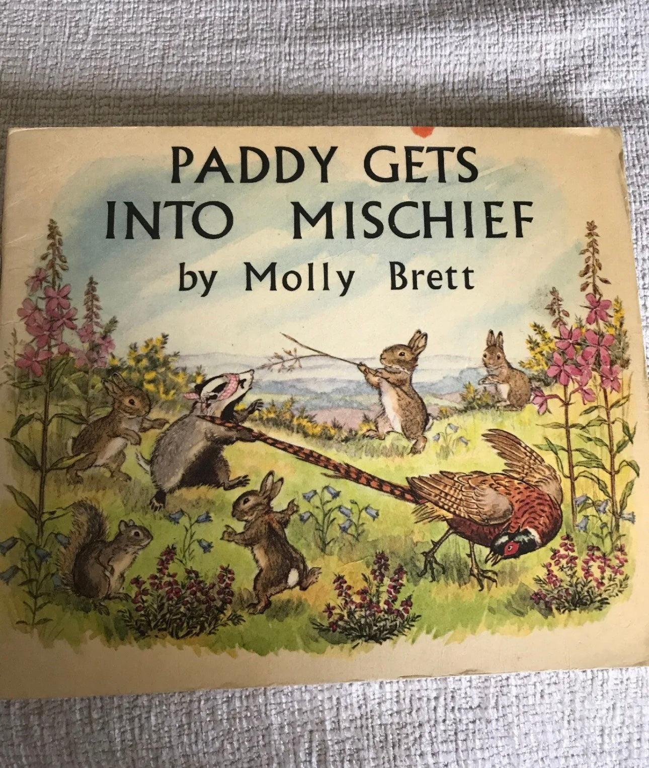 1972*1st* Paddy Gets Into Mischief - Molly Brett (Medici Society)