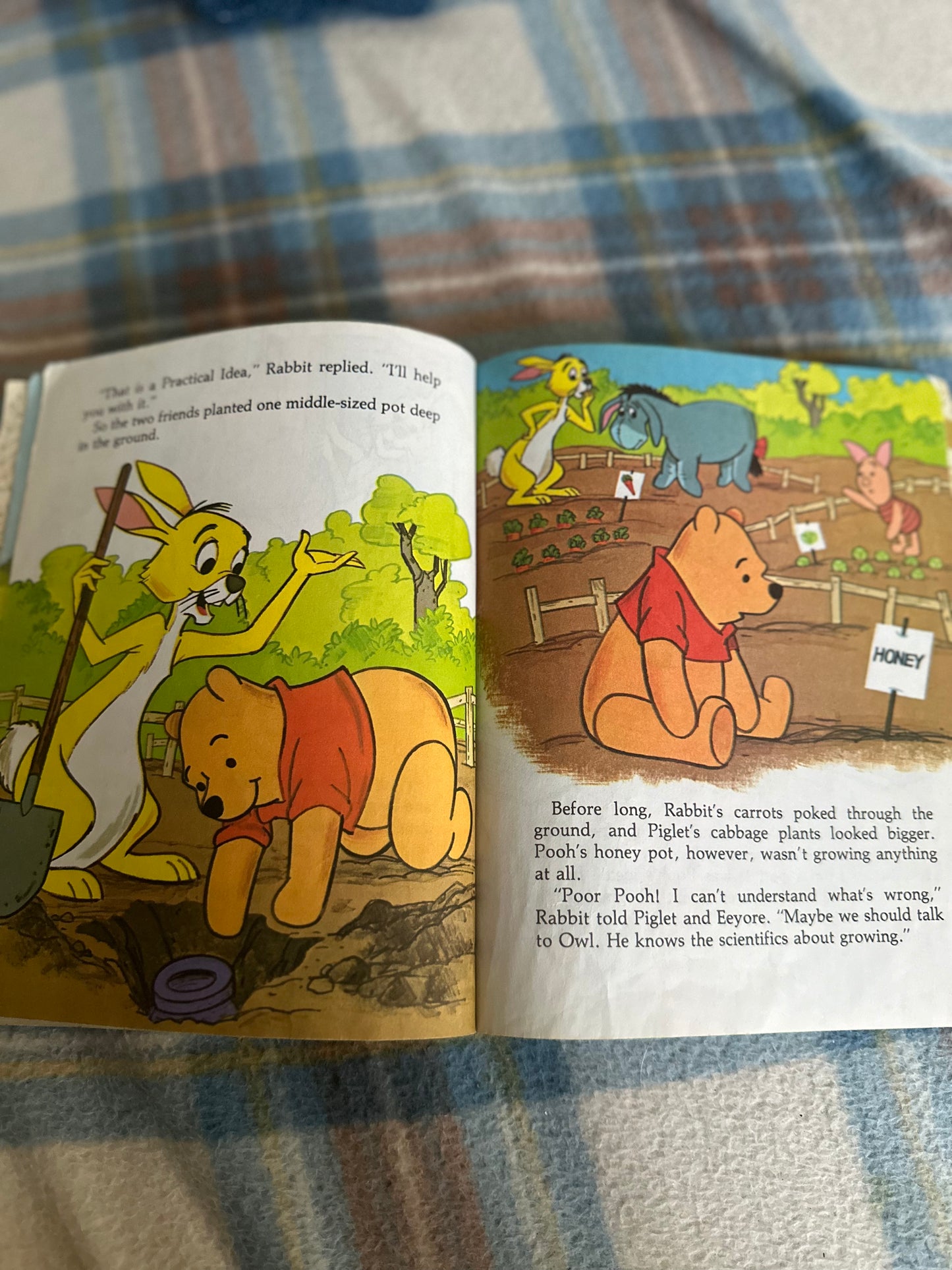 1980 Winnie The Pooh & The Honey Patch(A Golden Book)