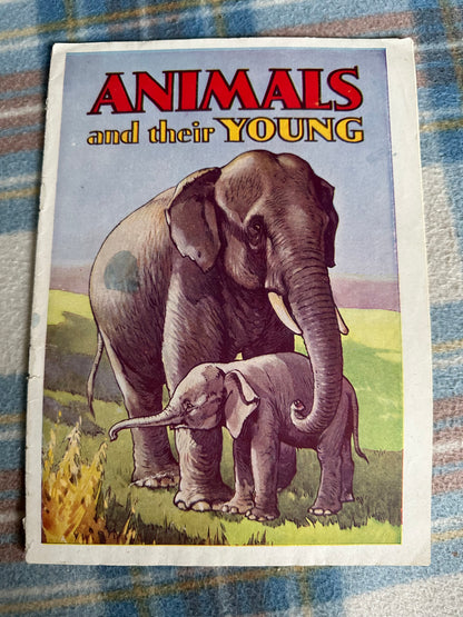 1950’s Animals & Their Young(Bendix Publishing Co Ltd)