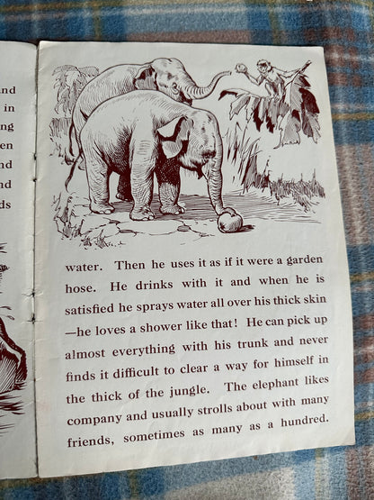 1950’s Animals & Their Young(Bendix Publishing Co Ltd)
