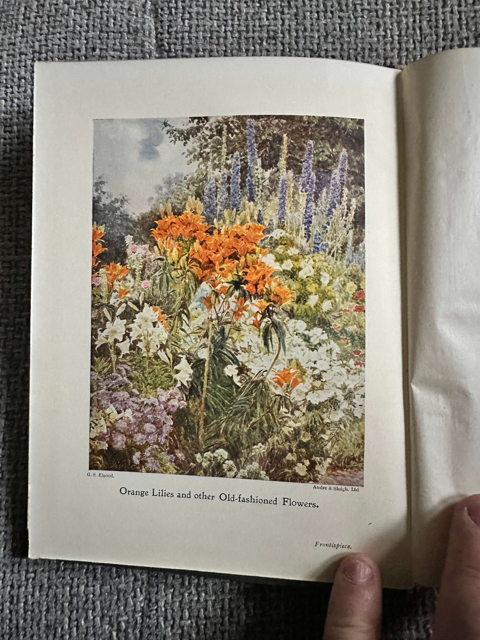 1906*1st* Old Fashioned Flowers & Other Open-Air Essays - Maurice Maeterlinck (Illust G. S. Elgood) George Allen Pub