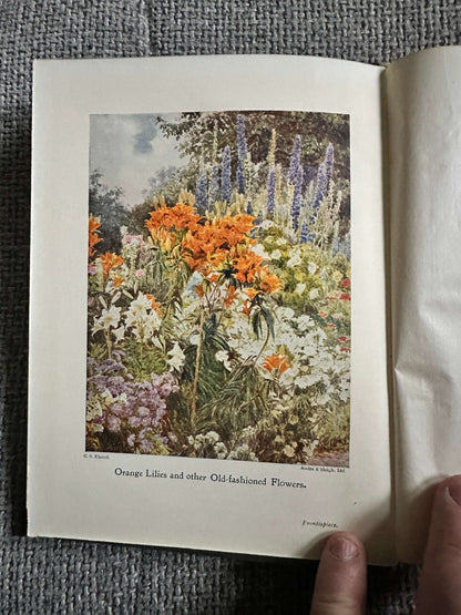 1906*1st* Old Fashioned Flowers & Other Open-Air Essays - Maurice Maeterlinck (Illust G. S. Elgood) George Allen Pub
