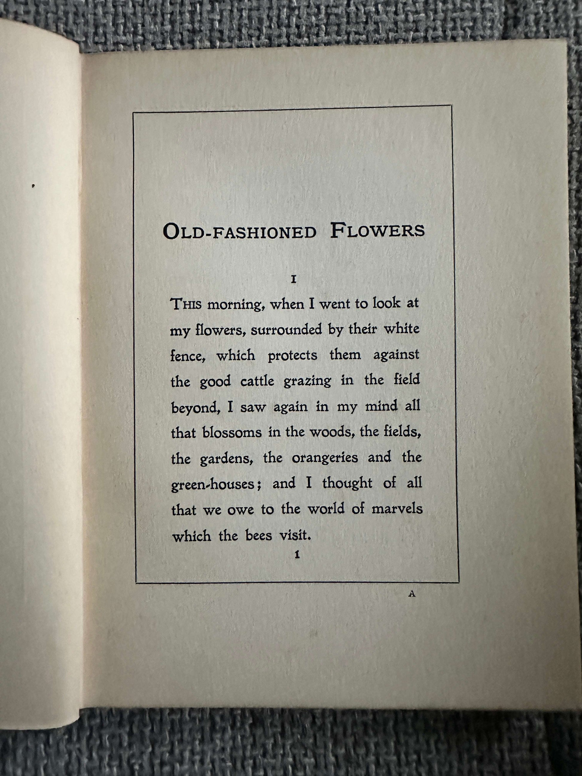 1906*1st* Old Fashioned Flowers & Other Open-Air Essays - Maurice Maeterlinck (Illust G. S. Elgood) George Allen Pub