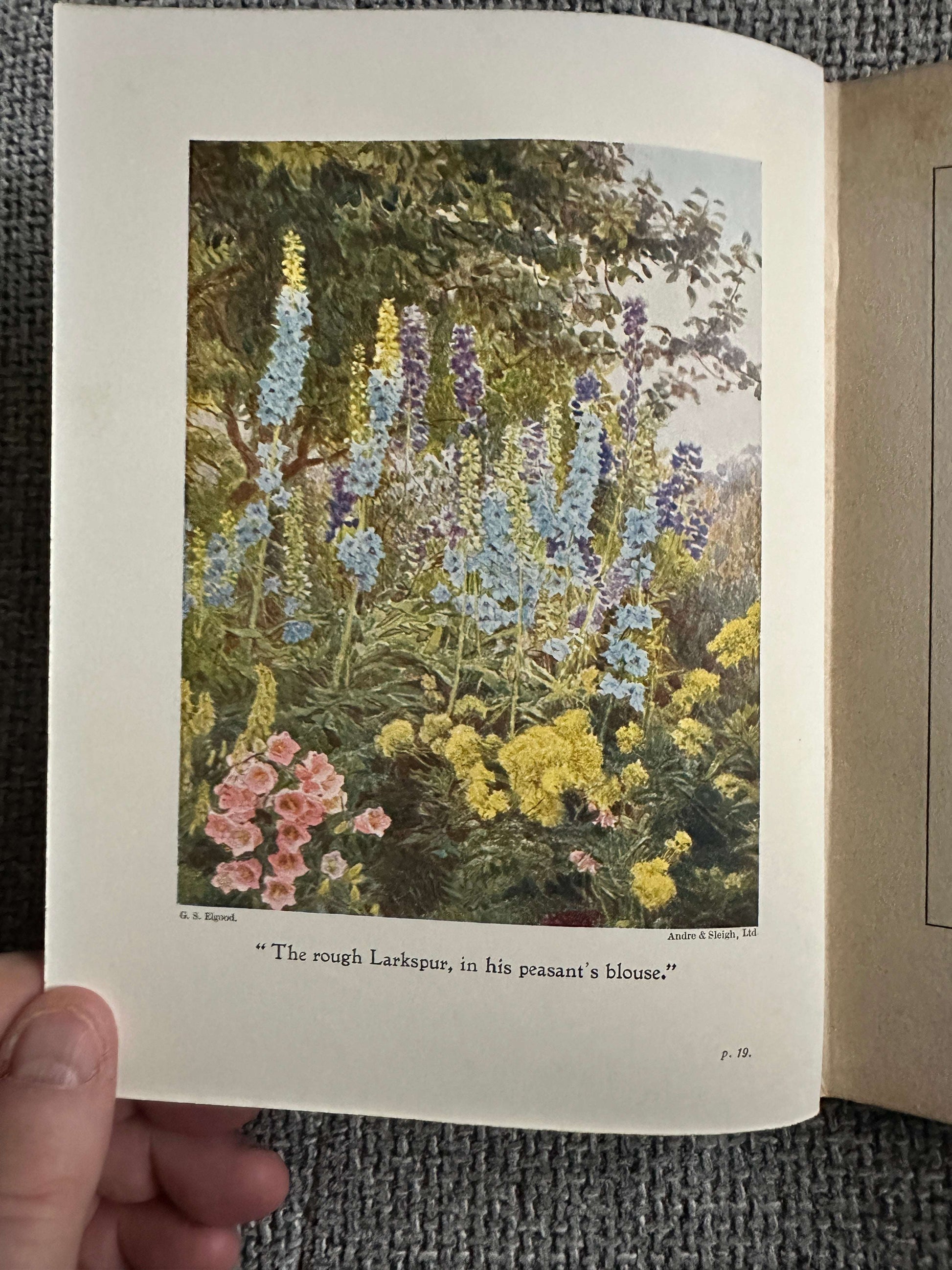 1906*1st* Old Fashioned Flowers & Other Open-Air Essays - Maurice Maeterlinck (Illust G. S. Elgood) George Allen Pub