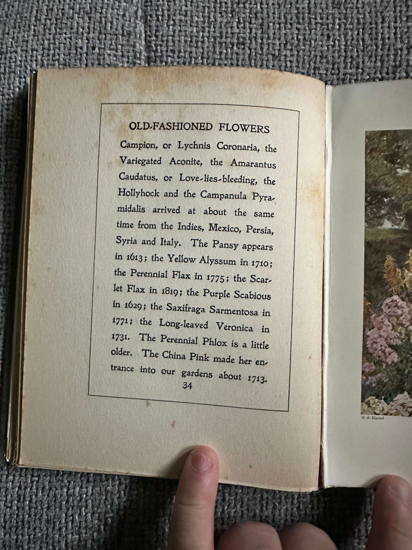 1906*1st* Old Fashioned Flowers & Other Open-Air Essays - Maurice Maeterlinck (Illust G. S. Elgood) George Allen Pub
