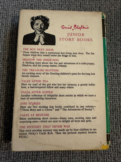 1965 The Rockingdown Mystery - Enid Blyton (Gilbert Dunlop illust) Collins (Junior Story Books) - Honeyburn Books (UK)