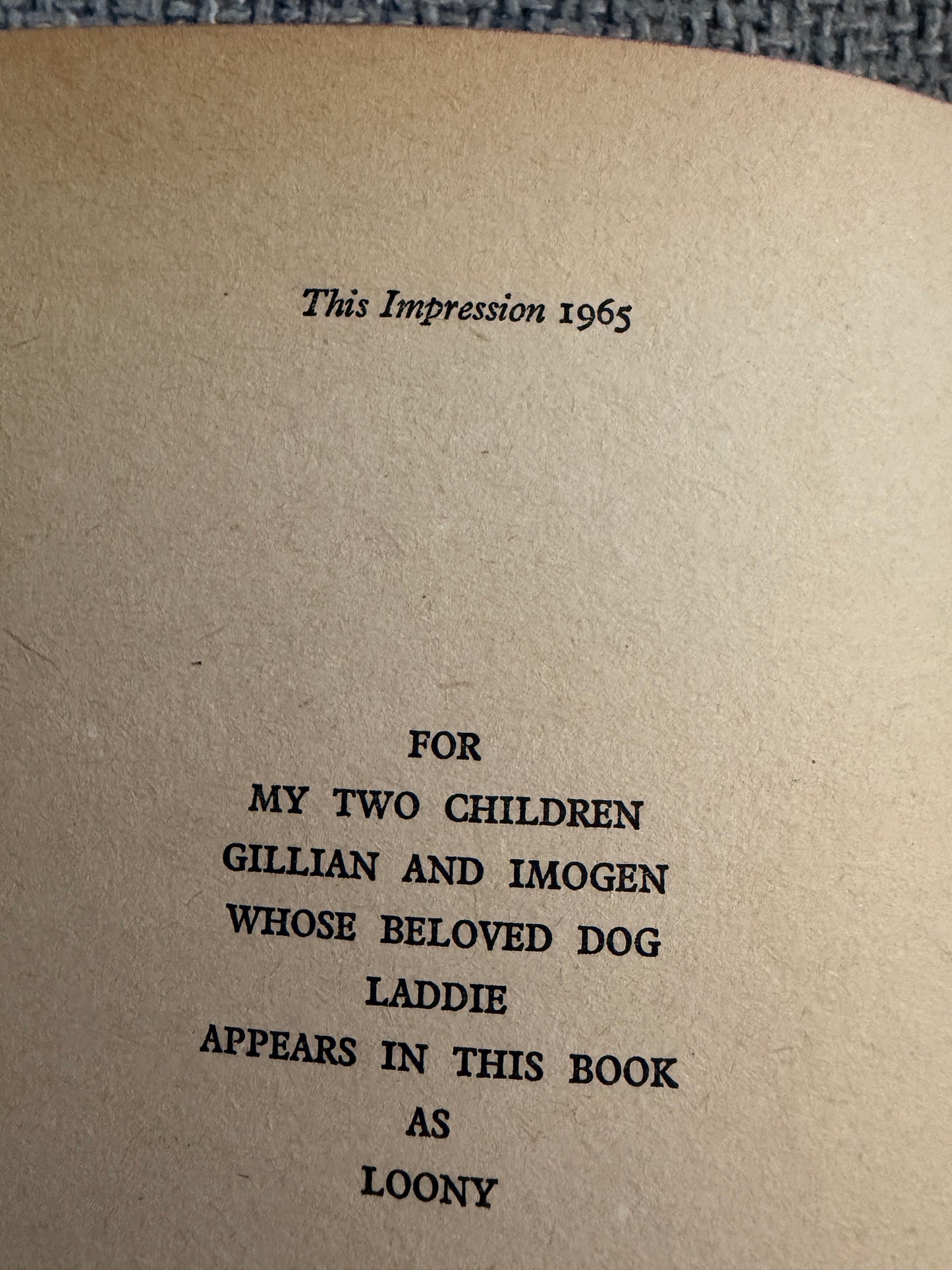 1965 The Rockingdown Mystery - Enid Blyton (Gilbert Dunlop illust) Collins (Junior Story Books) - Honeyburn Books (UK)